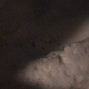 Meet your Posher, Cchristina